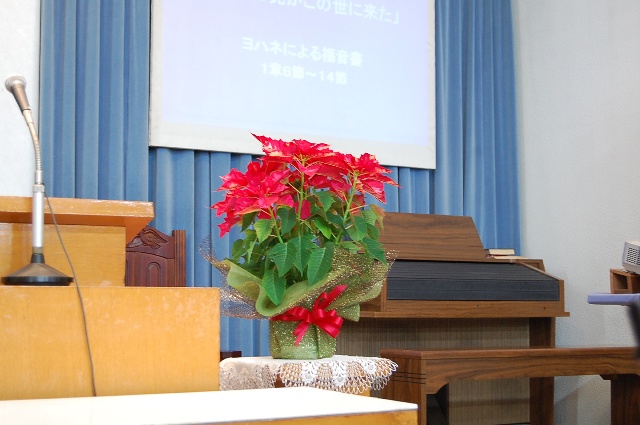 画像の説明