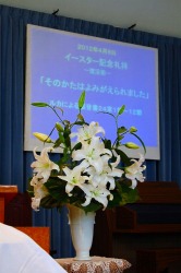 画像の説明